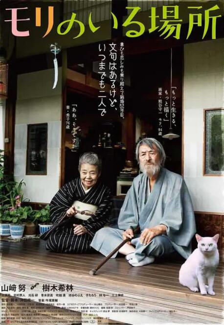 高清不卡在线观看