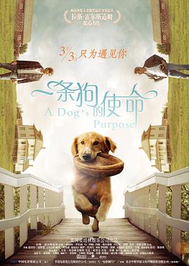 麻豆 精东