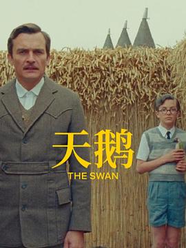 久久中文字幕网站篠田优